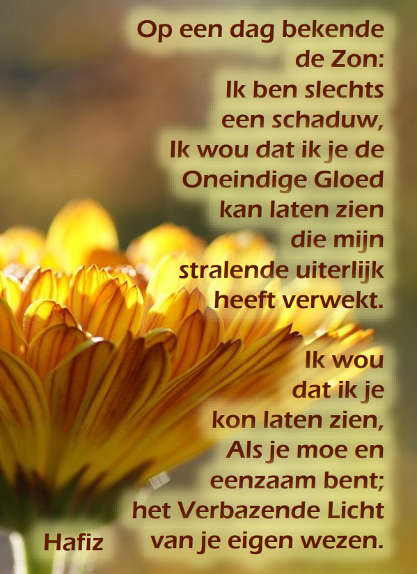 Postkaart -de zon bekende